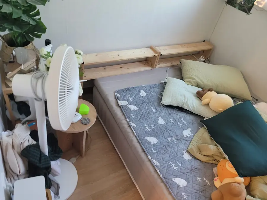 창가에 놓인 낮은 침대와 선풍기, 침구